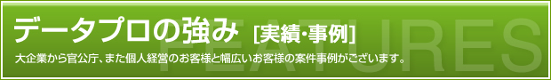 データプロの強み（実績・事例）大企業から官公庁、また個人経営のお客様と幅広いお客様の案件事例がございます。