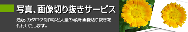 写真、画像切り抜きサービス
